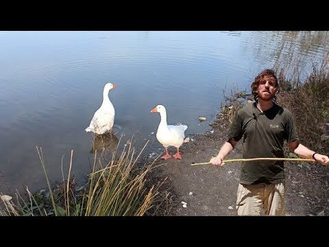 Excursiones Imperdibles Cerca de Cobe&ntilde;a