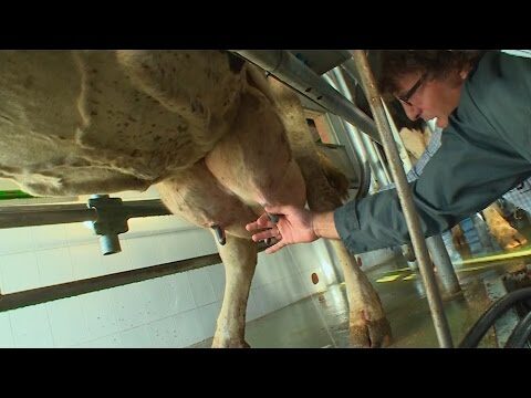 Gu&iacute;a de productos gourmet en Fuente el Saz de Jarama
