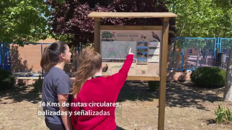 Las Mejores Rutas de Senderismo en Valdeolmos-Alalpardo